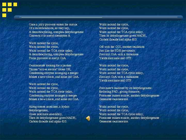 Once a jolly pyruvate enters the matrix Of a mitochondrion, so they say, A