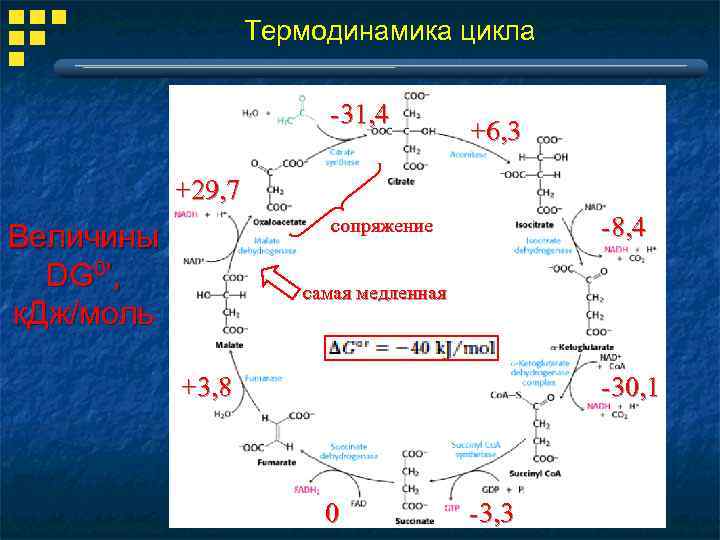 Термодинамика цикла -31, 4 +6, 3 +29, 7 -8, 4 сопряжение Величины DG 0’,