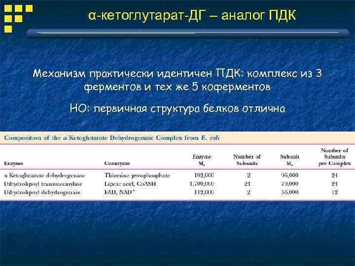 α-кетоглутарат-ДГ – аналог ПДК Механизм практически идентичен ПДК: комплекс из 3 ферментов и тех