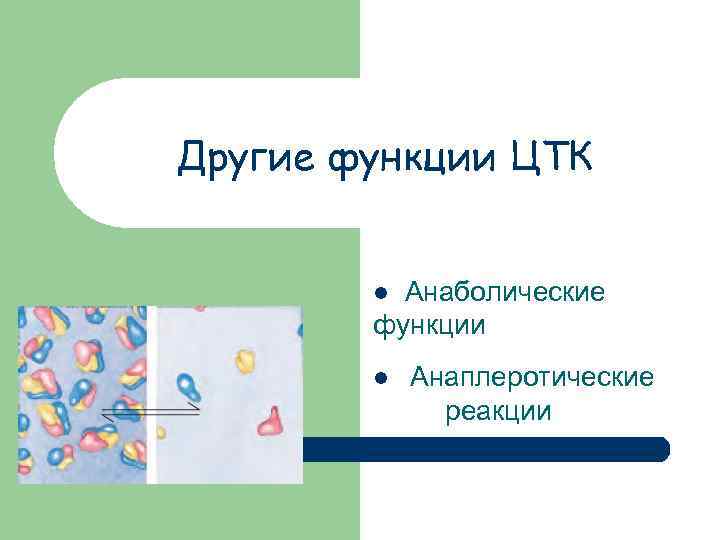 Другие функции ЦТК Анаболические функции l l Анаплеротические реакции 