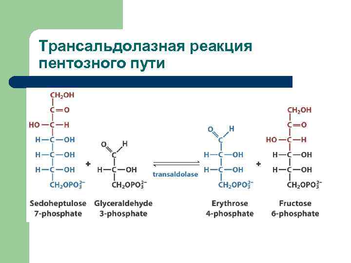 Трансальдолазная реакция пентозного пути 