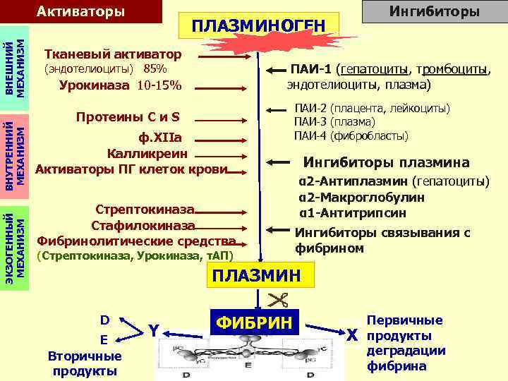 Активатор свертывания и гель