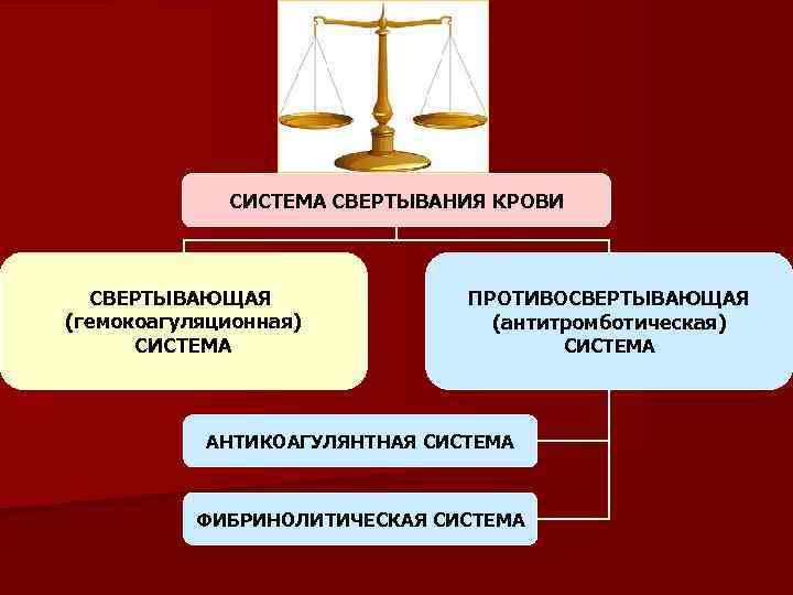 Схема свертывания крови биохимия