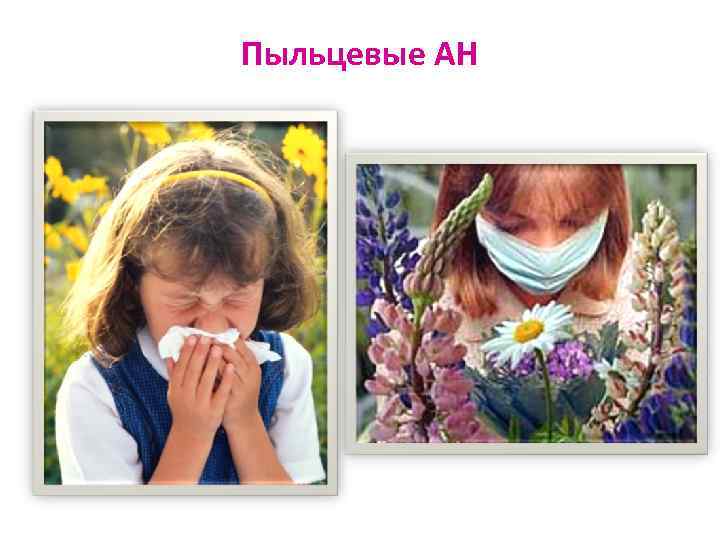 Пыльцевые АН 