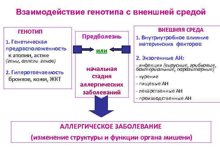 Взаимодействие генотипа с вненшней средой ГЕНОТИП 1. Генетическая предрасположенность к атопии, астме Предболезнь или