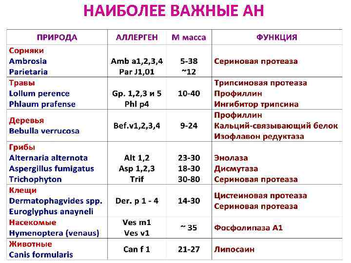 НАИБОЛЕЕ ВАЖНЫЕ АН 