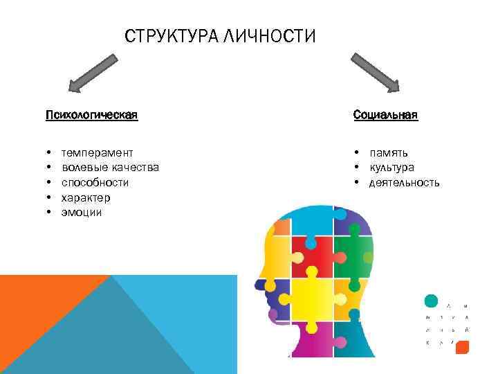 СТРУКТУРА ЛИЧНОСТИ Психологическая Социальная • • • память • культура • деятельность темперамент волевые