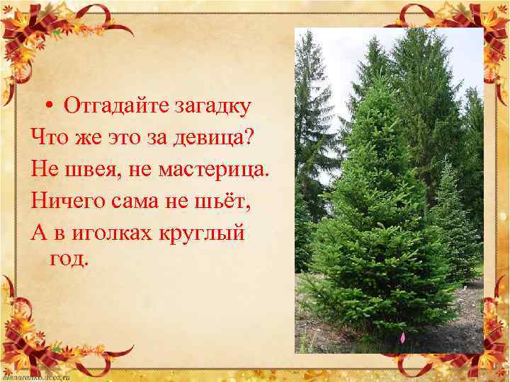  • Отгадайте загадку Что же это за девица? Не швея, не мастерица. Ничего