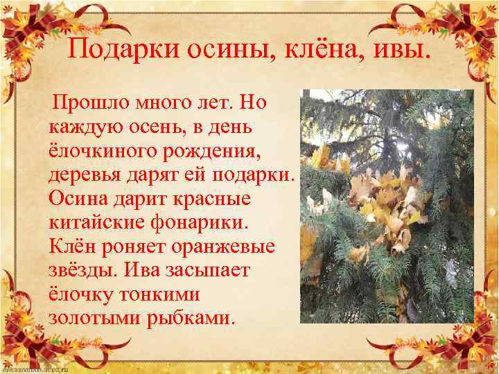 Подарки осины, клёна, ивы. Прошло много лет. Но каждую осень, в день ёлочкиного рождения,