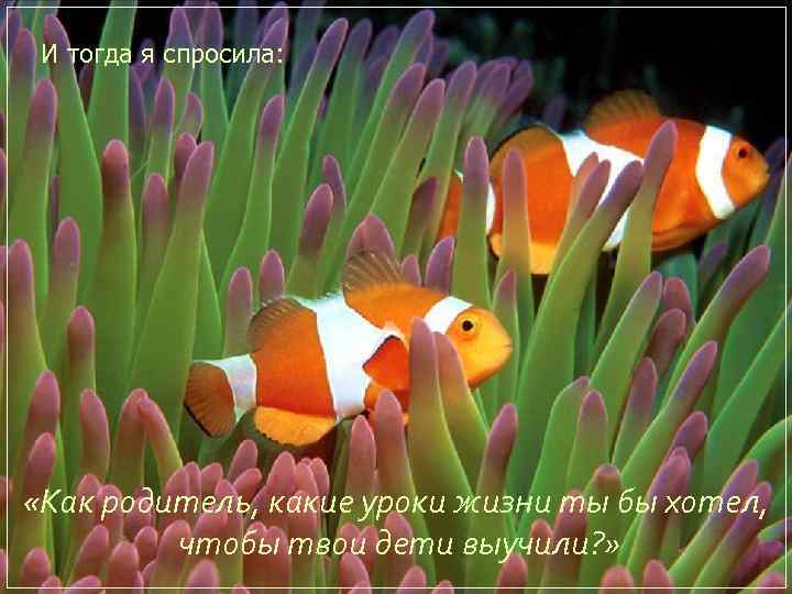 И тогда я спросилa: «Как родитель, какие уроки жизни ты бы хотел, чтобы твои