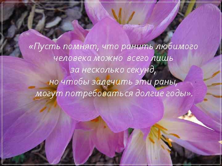  «Пусть помнят, что ранить любимого человека можно всего лишь за несколько секунд, но