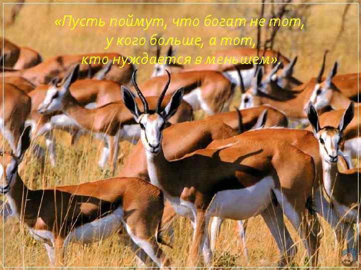  «Пусть поймут, что богат не тот, у кого больше, а тот, кто нуждается