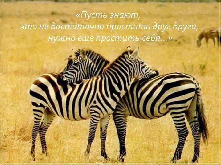  «Пусть знают, что не достаточно простить друга, нужно еще простить себя…» 