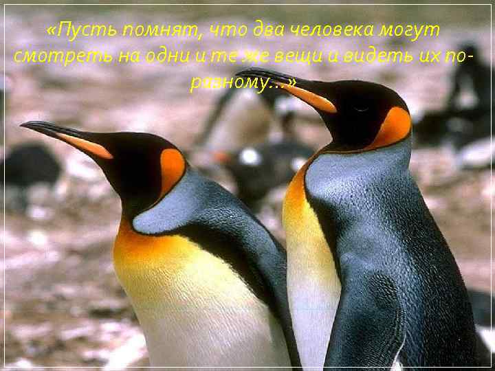  «Пусть помнят, что два человека могут смотреть на одни и те же вещи