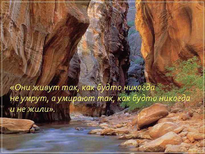  «Они живут так, как будто никогда не умрут, а умирают так, как будто
