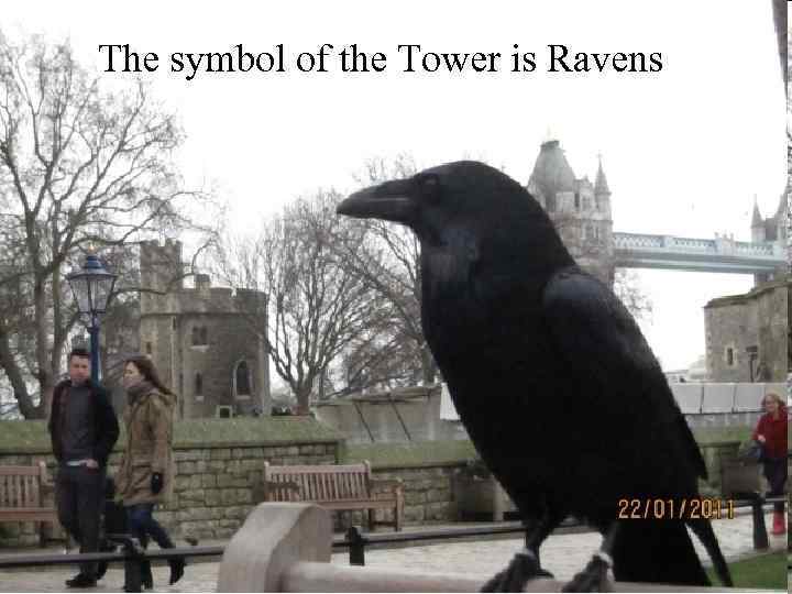 The symbol of the Tower is Ravens 