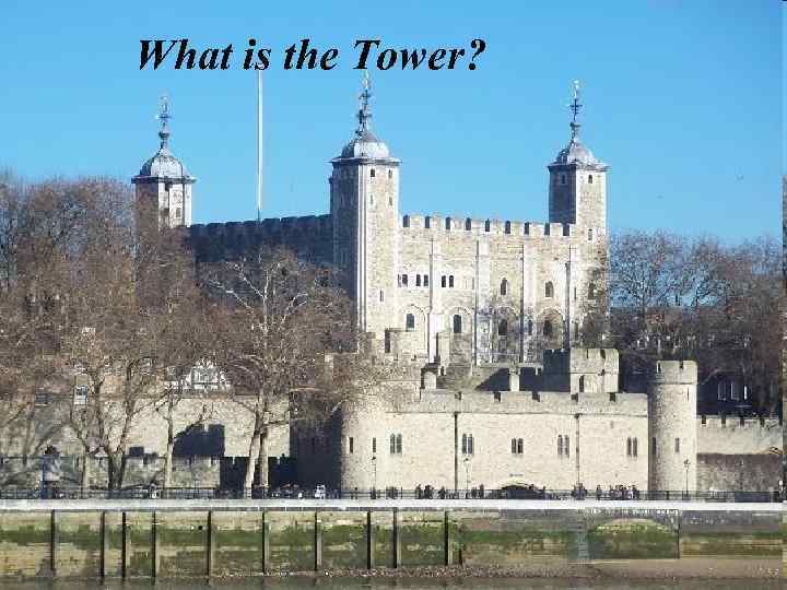 What is the Tower? 