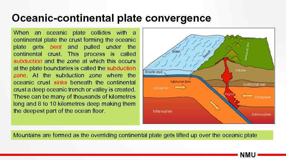 Oceanic-continental plate convergence When an oceanic plate collides with a continental plate the crust