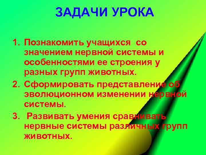 ЗАДАЧИ УРОКА 1. Познакомить учащихся со значением нервной системы и особенностями ее строения у