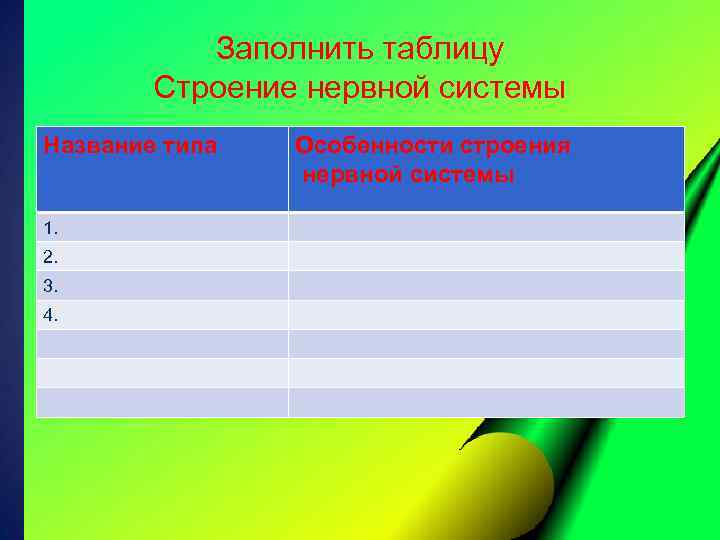 Заполнить таблицу Строение нервной системы Название типа 1. 2. 3. 4. Особенности строения нервной