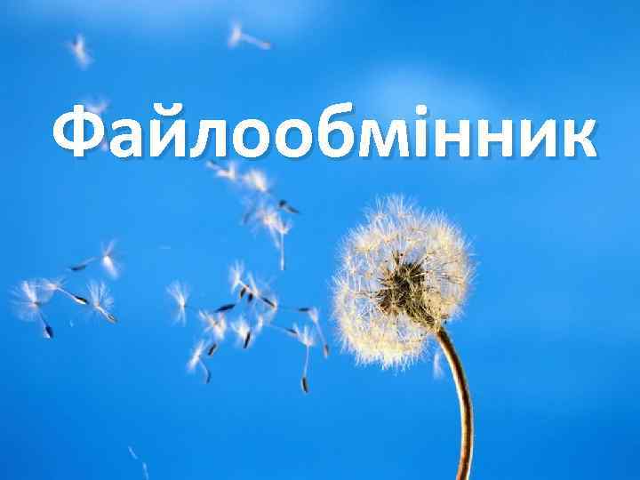 Файлообмінник 