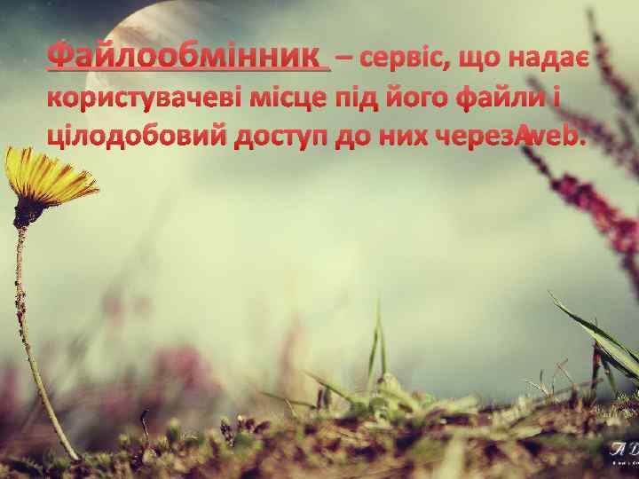 Файлообмінник – сервіс, що надає користувачеві місце під його файли і цілодобовий доступ до