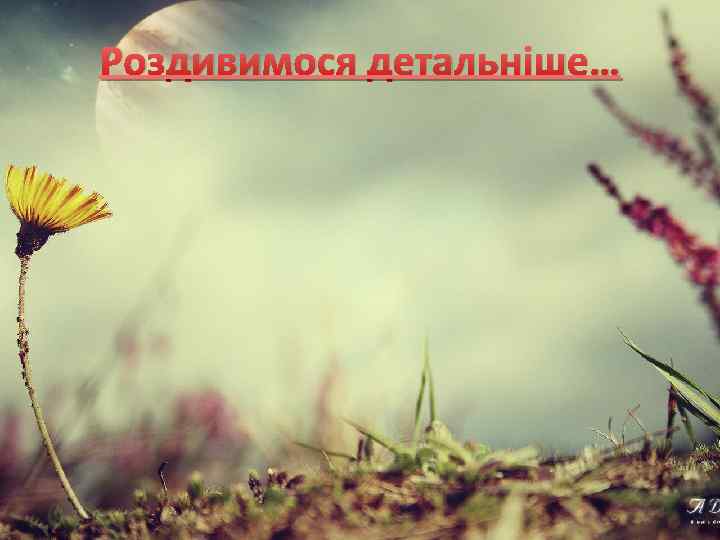 Роздивимося детальніше… 