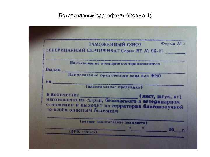 Ветеринарный сертификат (форма 4) 