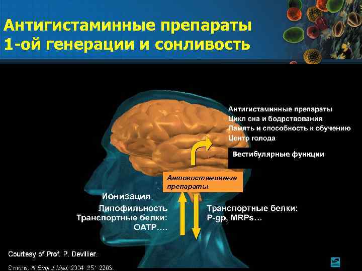 Антигистаминные препараты 1 -ой генерации и сонливость Вестибулярные функции Антигистаминные препараты Ионизация 