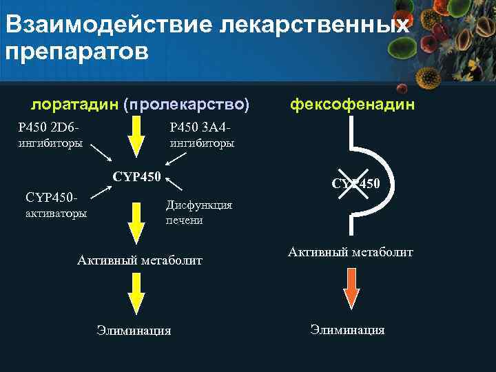 Аллергический ринит презентация иммунология