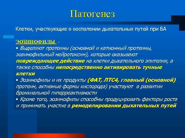 Патогенез Клетки, участвующие в воспалении дыхательных путей при БА ЭОЗИНОФИЛЫ § Выделяют протеины (основной