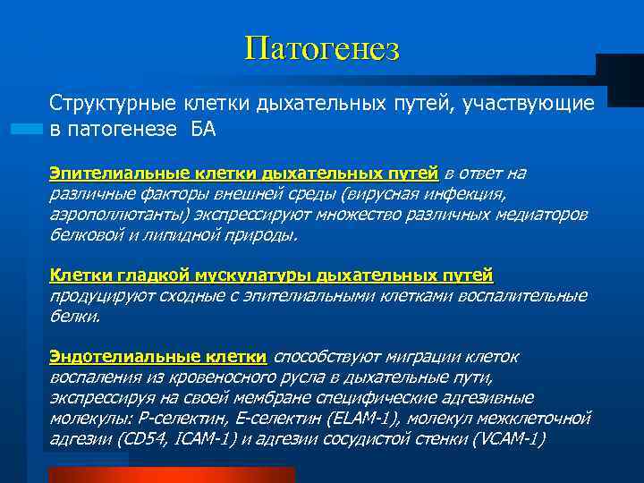 Патогенез Структурные клетки дыхательных путей, участвующие в патогенезе БА Эпителиальные клетки дыхательных путей в