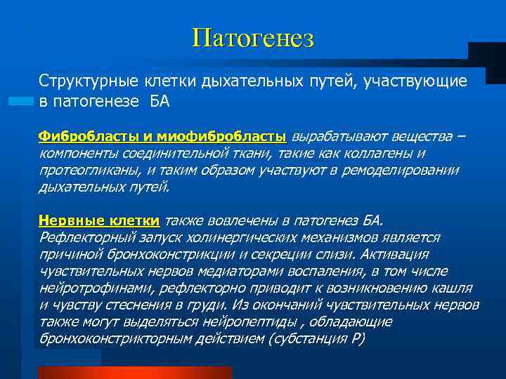 Патогенез Структурные клетки дыхательных путей, участвующие в патогенезе БА Фибробласты и миофибробласты вырабатывают вещества