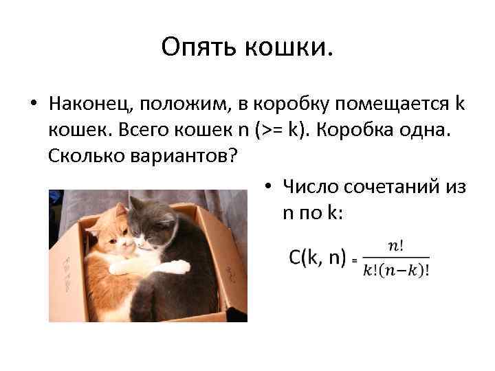 Опять кошки. • Наконец, положим, в коробку помещается k кошек. Всего кошек n (>=