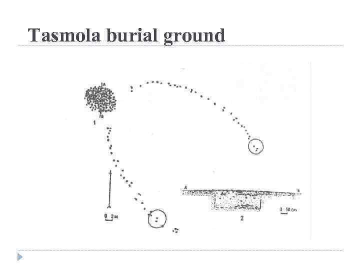 Tasmola burial ground 