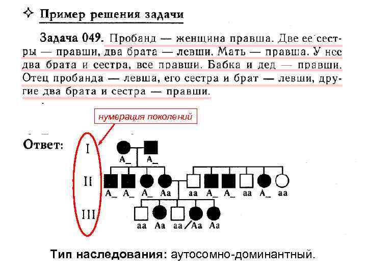 нумерация поколений Тип наследования: аутосомно-доминантный. 