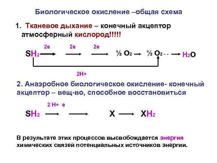 Биологическое окисление –общая схема 1. Тканевое дыхание – конечный акцептор атмосферный кислород!!!!! SH 2