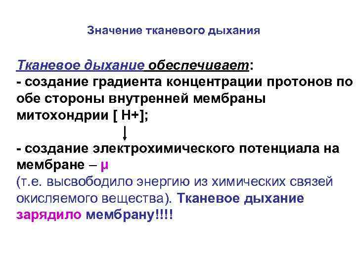 Значение тканевого дыхания Тканевое дыхание обеспечивает: - создание градиента концентрации протонов по обе стороны