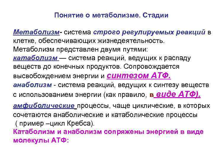 Понятие о метаболизме. Стадии Метаболизм- система строго регулируемых реакций в клетке, обеспечивающих жизнедеятельность. Метаболизм