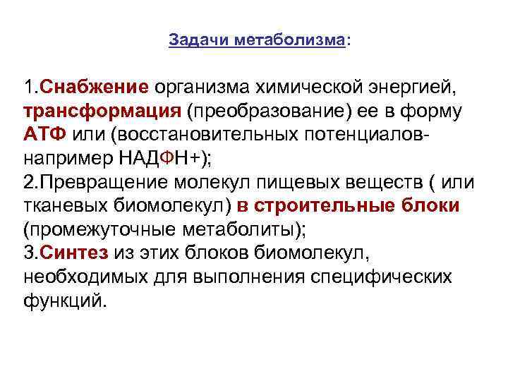 Задачи метаболизма: 1. Снабжение организма химической энергией, трансформация (преобразование) ее в форму АТФ или