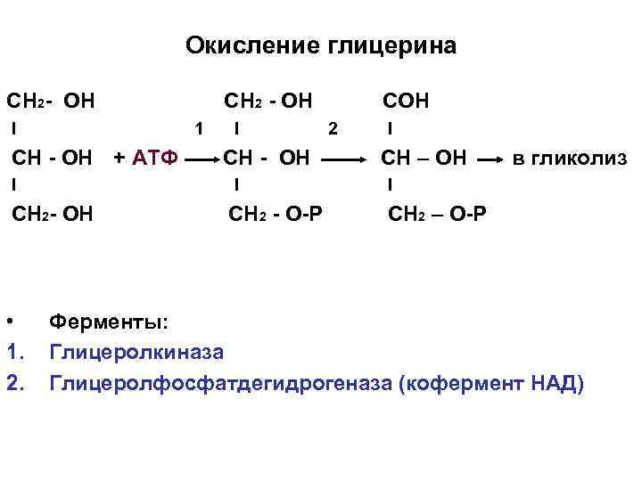 Окисление глицерина СН 2 - ОН I 1 СН - ОН + АТФ I