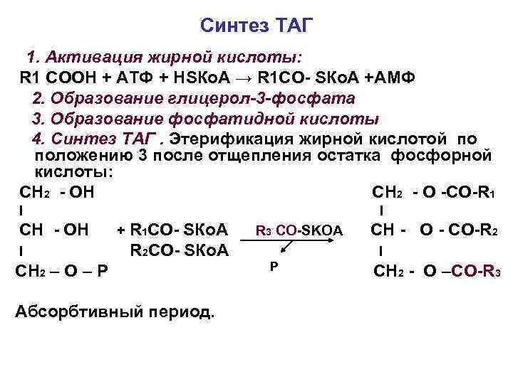 Синтез ТАГ 1. Активация жирной кислоты: R 1 СООН + АТФ + НSКо. А