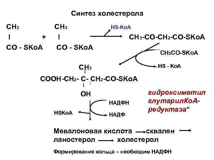 Синтез холестерола СН 3 I + CO - SKo. A CH 3 I CO