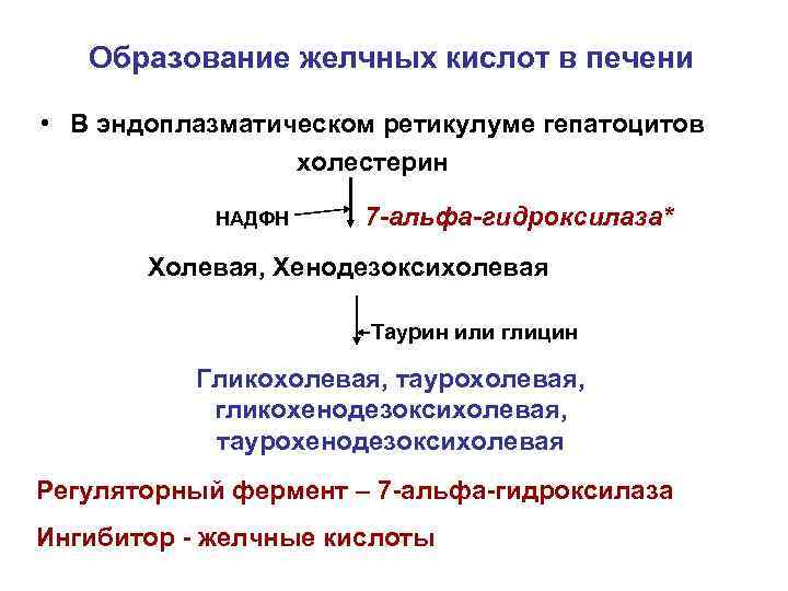 Образование желчных кислот в печени • В эндоплазматическом ретикулуме гепатоцитов холестерин НАДФН 7 -альфа-гидроксилаза*