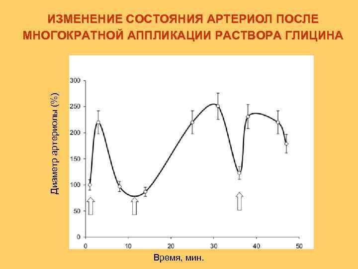 Диаметр артериолы (%) ИЗМЕНЕНИЕ СОСТОЯНИЯ АРТЕРИОЛ ПОСЛЕ МНОГОКРАТНОЙ АППЛИКАЦИИ РАСТВОРА ГЛИЦИНА Время, мин. 