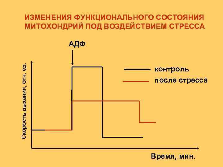ИЗМЕНЕНИЯ ФУНКЦИОНАЛЬНОГО СОСТОЯНИЯ МИТОХОНДРИЙ ПОД ВОЗДЕЙСТВИЕМ СТРЕССА Скорость дыхания, отн. ед. АДФ контроль после