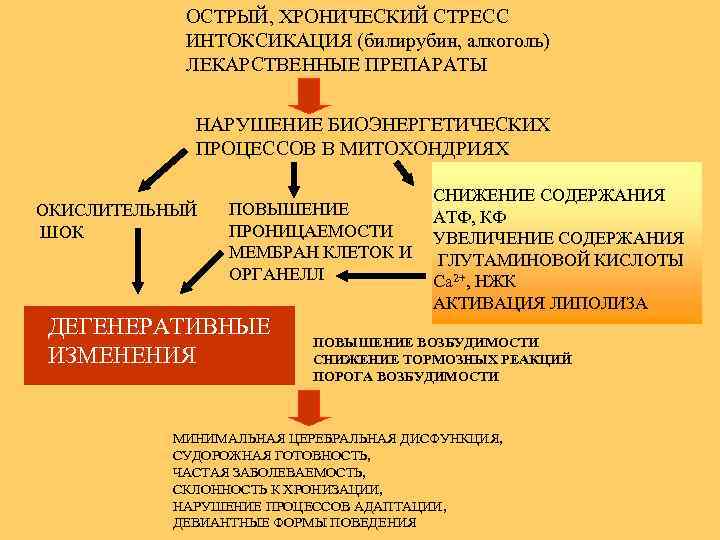 ОСТРЫЙ, ХРОНИЧЕСКИЙ СТРЕСС ИНТОКСИКАЦИЯ (билирубин, алкоголь) ЛЕКАРСТВЕННЫЕ ПРЕПАРАТЫ НАРУШЕНИЕ БИОЭНЕРГЕТИЧЕСКИХ ПРОЦЕССОВ В МИТОХОНДРИЯХ ОКИСЛИТЕЛЬНЫЙ