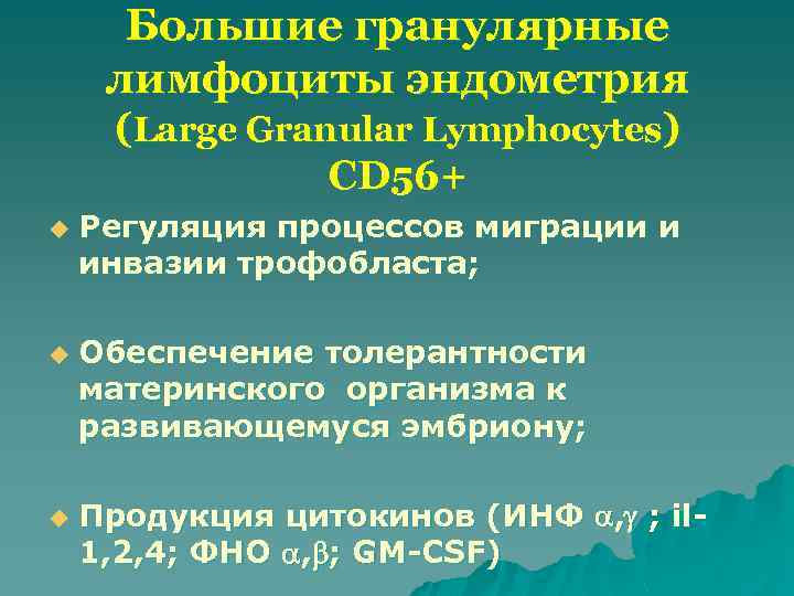Большие гранулярные лимфоциты эндометрия (Large Granular Lymphocytes) CD 56+ u u u Регуляция процессов