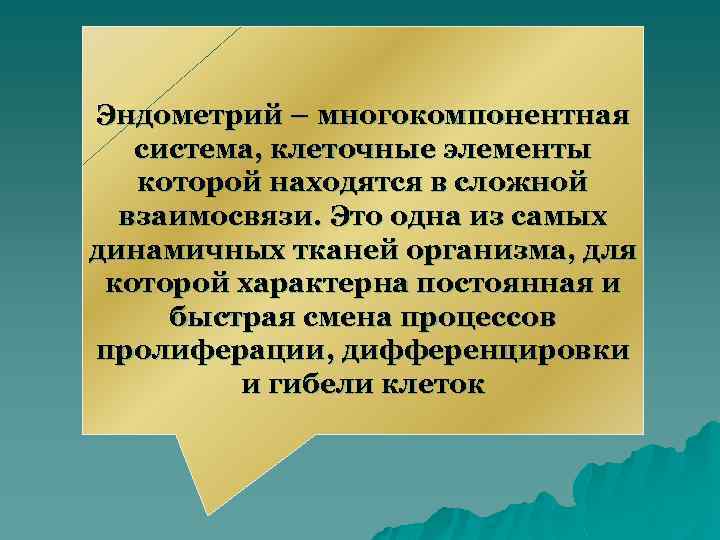 Эндометрий – многокомпонентная система, клеточные элементы которой находятся в сложной взаимосвязи. Это одна из