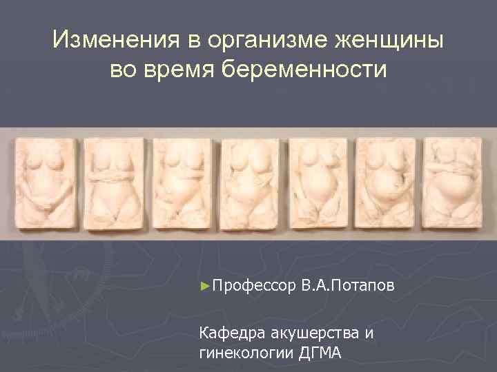 Изменения в организме женщины во время беременности ►Профессор В. А. Потапов Кафедра акушерства и